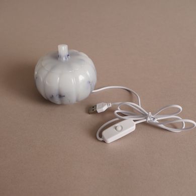 USB-світильник з епоксидної смоли з квітами дельфініуму