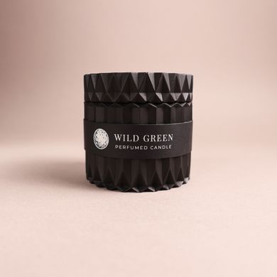 Парфумована свічка "Wild Green" у гіпсовому кашпо з кришкою | Alchemy