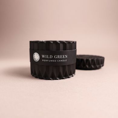 Парфумована свічка "Wild Green" у гіпсовому кашпо з кришкою | Alchemy